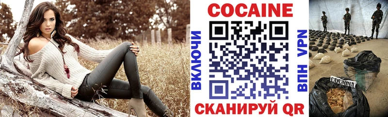 mega tor  Гвардейск  Кокаин Эквадор  купить наркоту 
