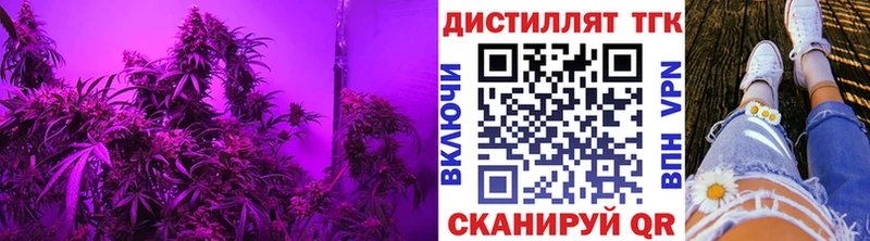 darknet официальный сайт  кракен ONION  ТГК гашишное масло  Гвардейск  как найти закладки 