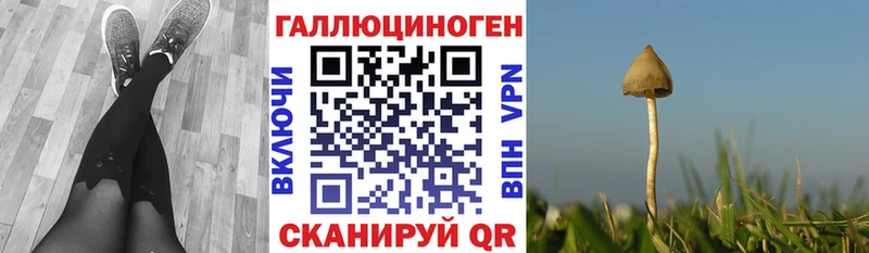 Галлюциногенные грибы ЛСД  мега ссылки  Гвардейск 